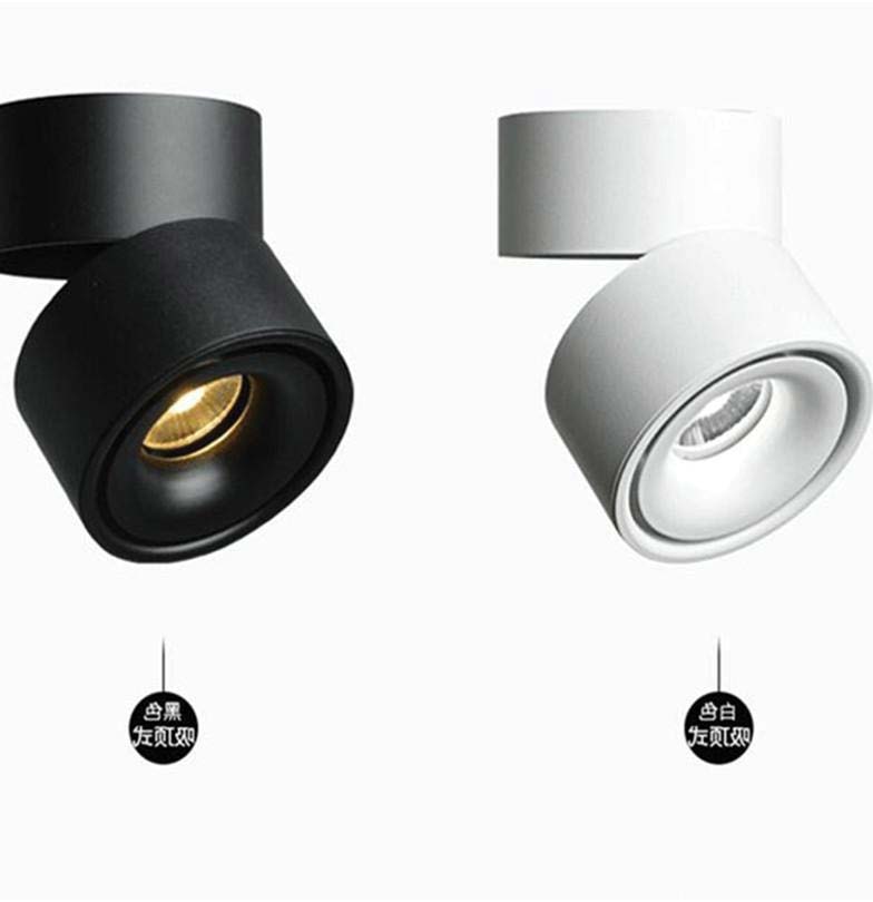 24-ECOLUX-OTD SPOT ADJUSTABLE LIGHT-EL-OTD-12W (MDZ2).jpg