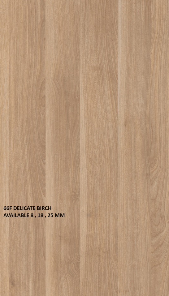 66F DELICATE BIRCH_66F Delicate Birch  Balm_03-Alkhawaja For lumber trading  الخواجة لتجارة الاخشاب FINSA LAMINATE WOOD Panels SUPERBAN - GAMA DUO 32