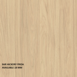9AR Hickory Frida Northern_9AR HICKORY FRIDA_03-Alkhawaja For lumber trading  الخواجة لتجارة الاخشاب FINSA LAMINATE WOOD Panels SUPERBAN - GAMA DUO 12