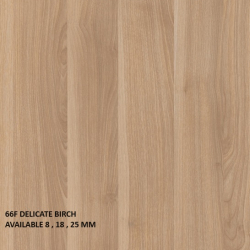 66F DELICATE BIRCH_66F Delicate Birch  Balm_03-Alkhawaja For lumber trading  الخواجة لتجارة الاخشاب FINSA LAMINATE WOOD Panels SUPERBAN - GAMA DUO 32