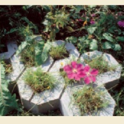 Grass-Stone-Almutatawera 02-interlock